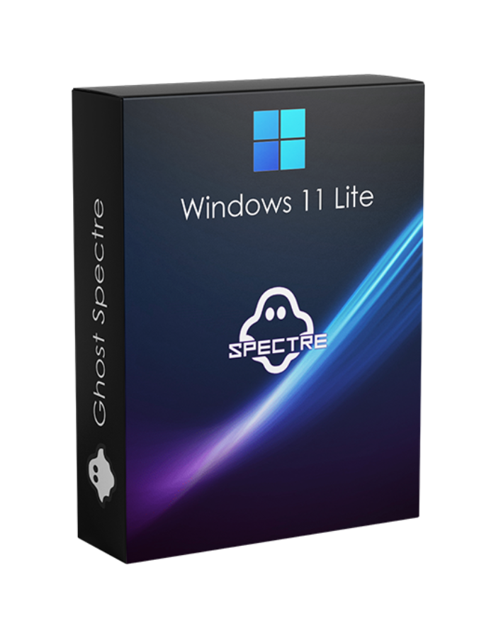 Windows 11 Professional Lite
